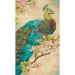 (image for) Indian Peacock Counted Cross Stitch Kit